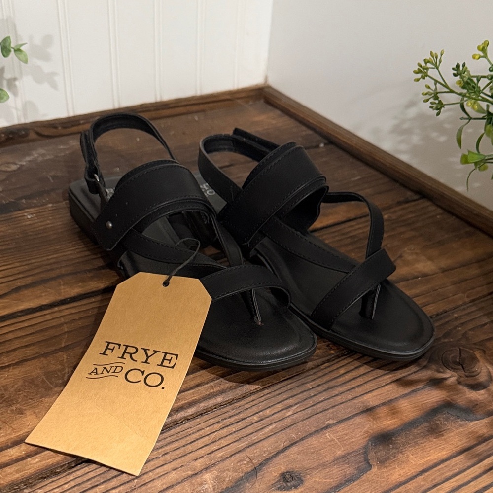NWT FRYE AND CO. Women's Cassia Black Sandals